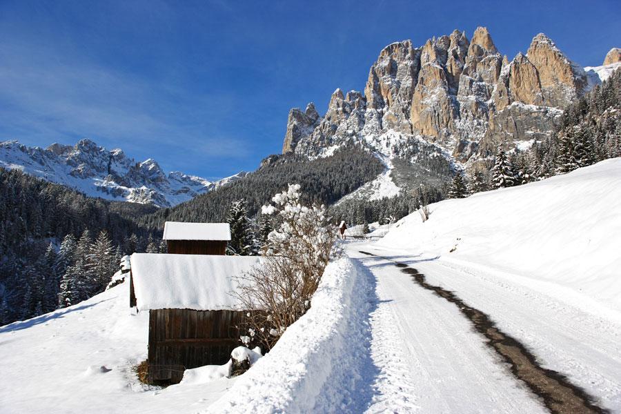 Appartamenti Dolomiti Moena Ngoại thất bức ảnh